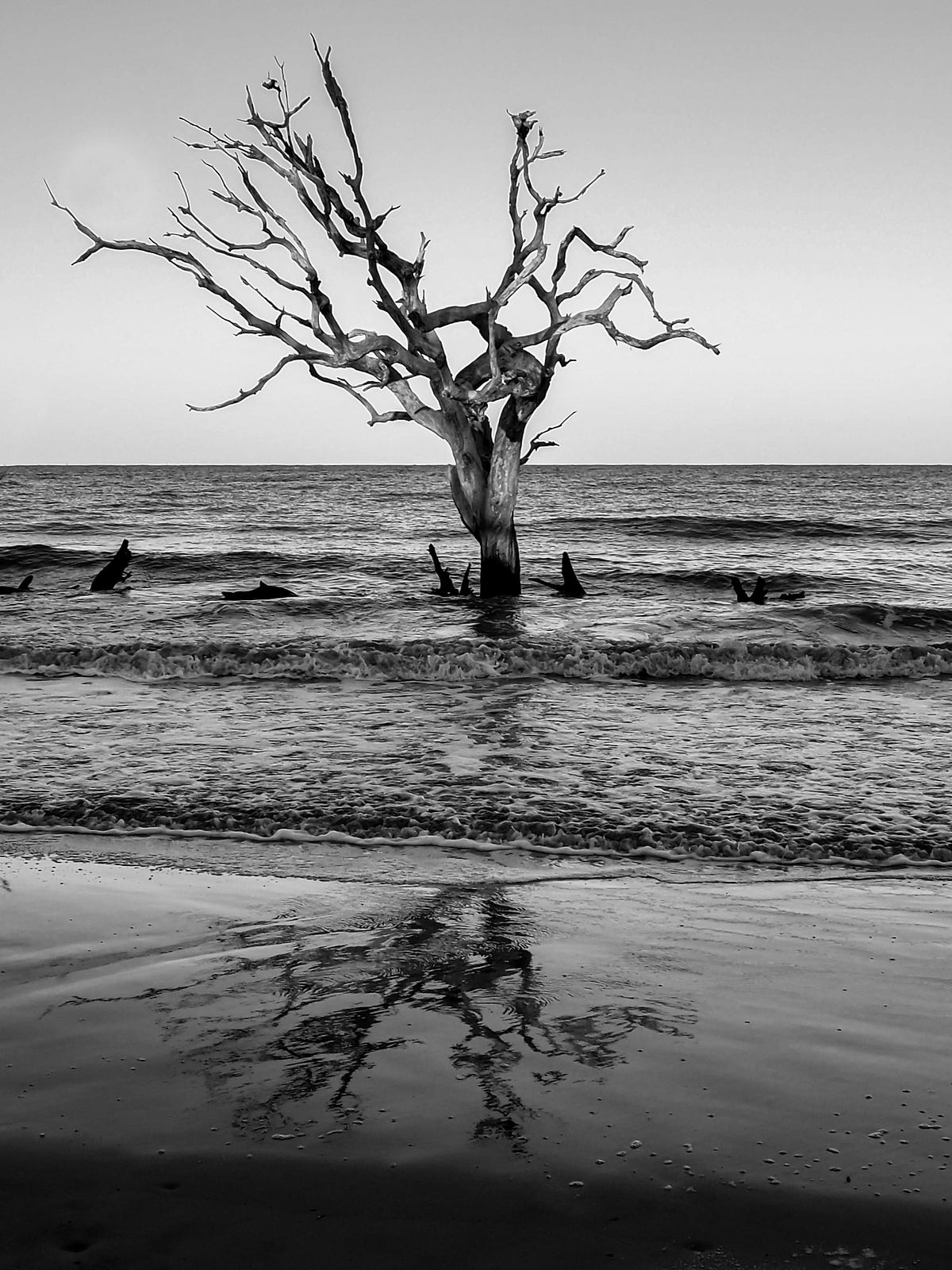 A Writing Challenge: Sincere Question from 2025 | by Paula Lechten ...