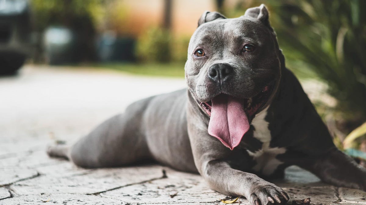 Foto: Christopher Ayme/Unsplash