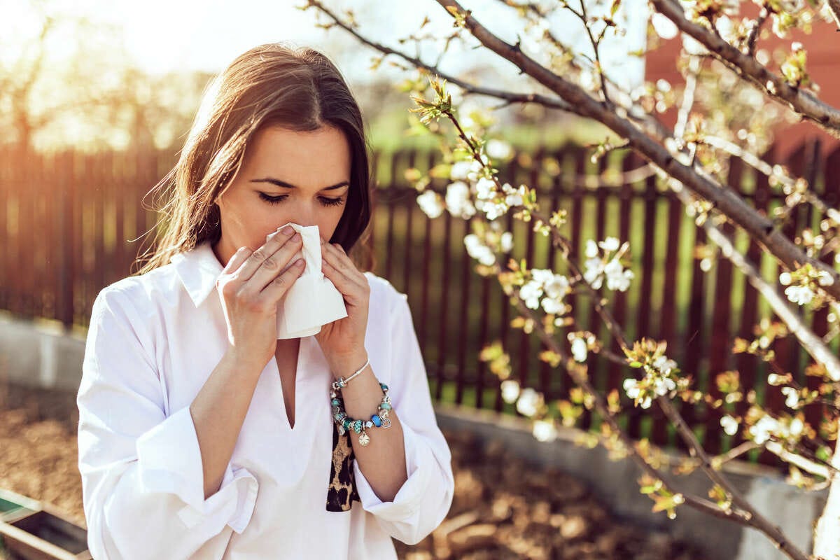 Pollen Count Trends in NYC What to Expect and How to Prepare by Liam