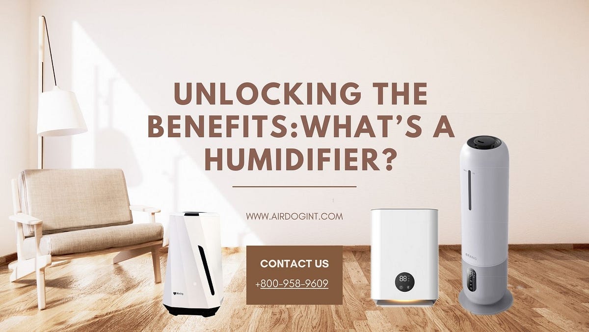 Unlocking The BenefitsWhat’s A Humidifier? by Airdog Global