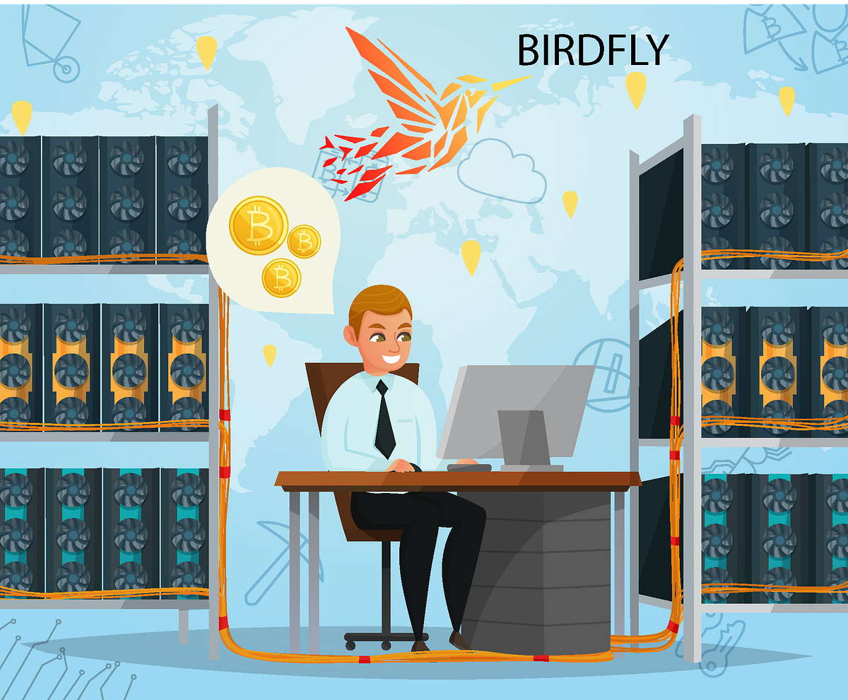 🦅 Birdfly is soaring to new heights with the introduction of 10X Power ...
