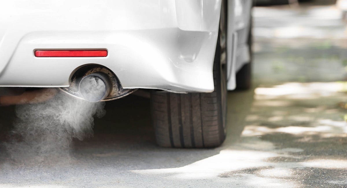 What is Smog Check Results Review? by Holistic Feeds Medium