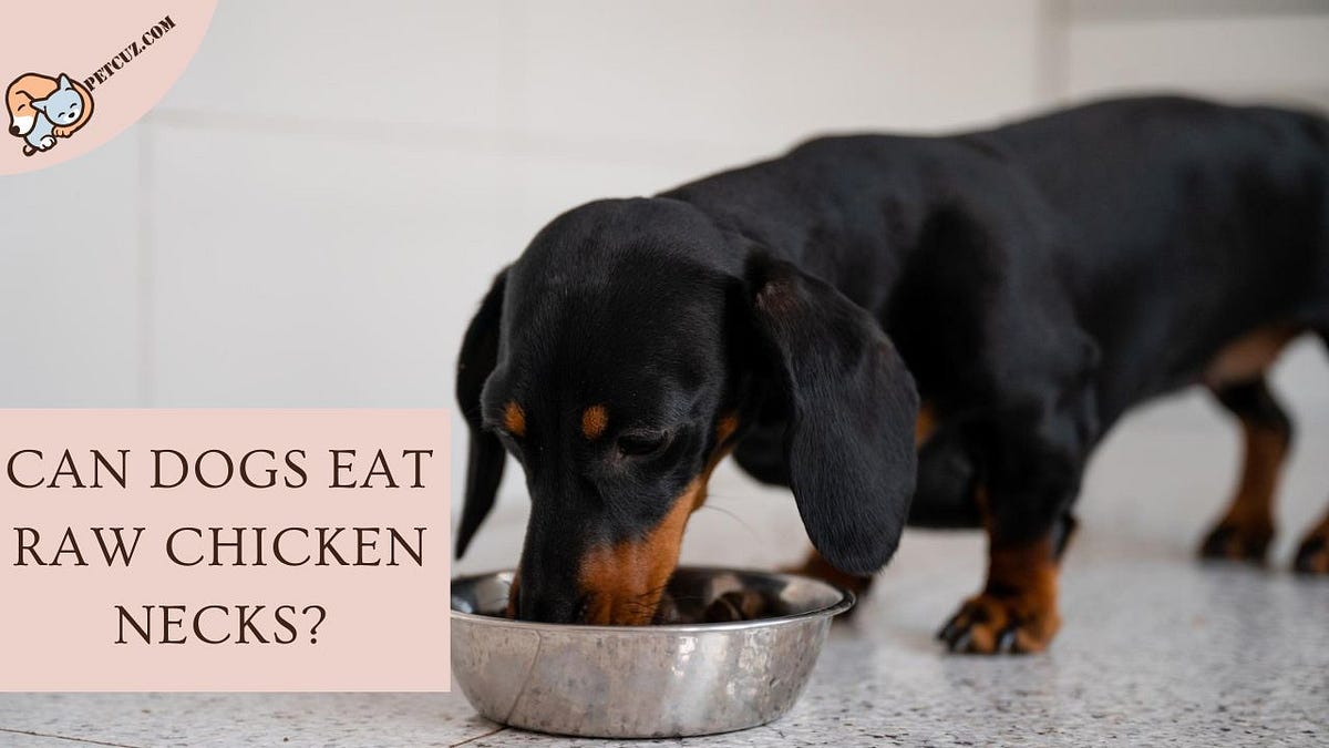 can dogs have raw chicken necks