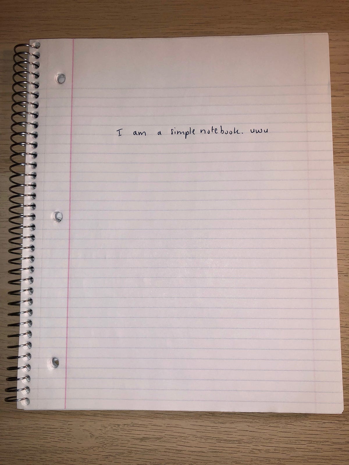 The Simple Notebook : A Lefty's Nightmare