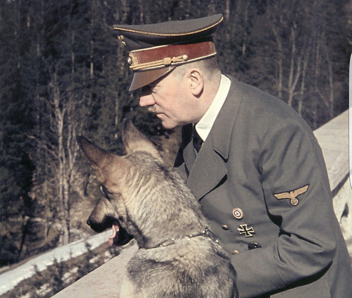 adolf-hitler-s-favorite-dog-adolf-hitler-got-millions-of-people-by