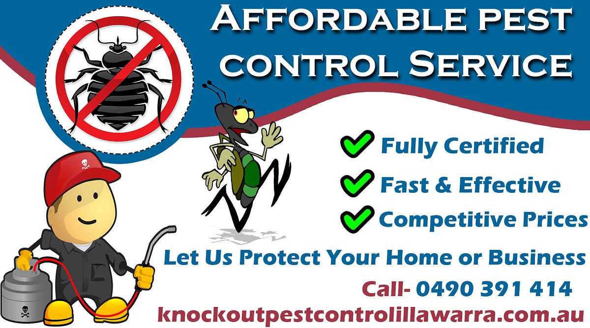 Affordable Pest Control Service. Fully Certified, Fast and Effective… by Knock Out Pest