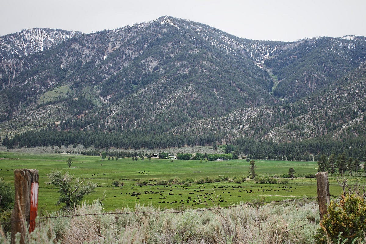 Jack’s Valley Ranch “A Very, Very Special Place” by Malia Ascuaga