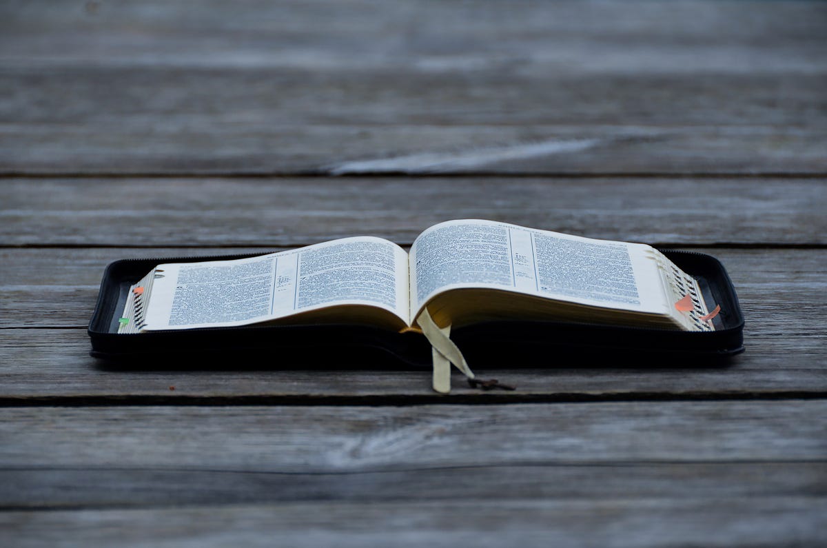 Most Frequent Python Terms. Learning the most basic Pythonic terms ...