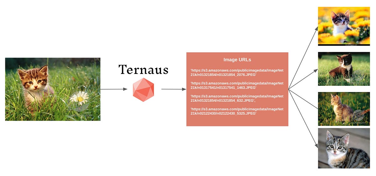 Free API for Image Search. | Medium