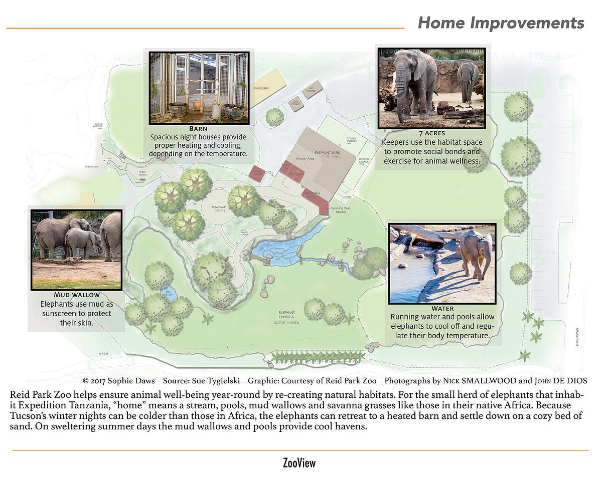 Modern zoos design habitats to be natural, engaging for animals by