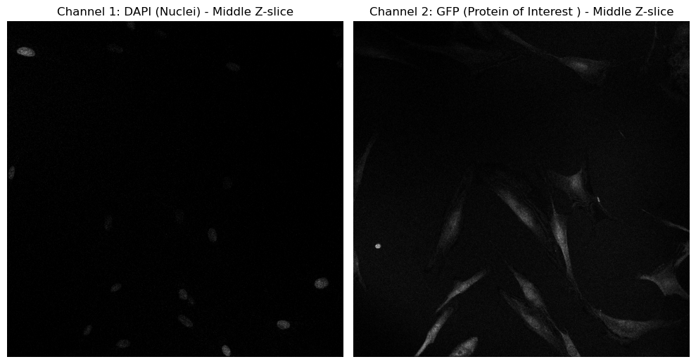 Nuclei Detection and Fluorescence Quantification in Python: A Step-by ...