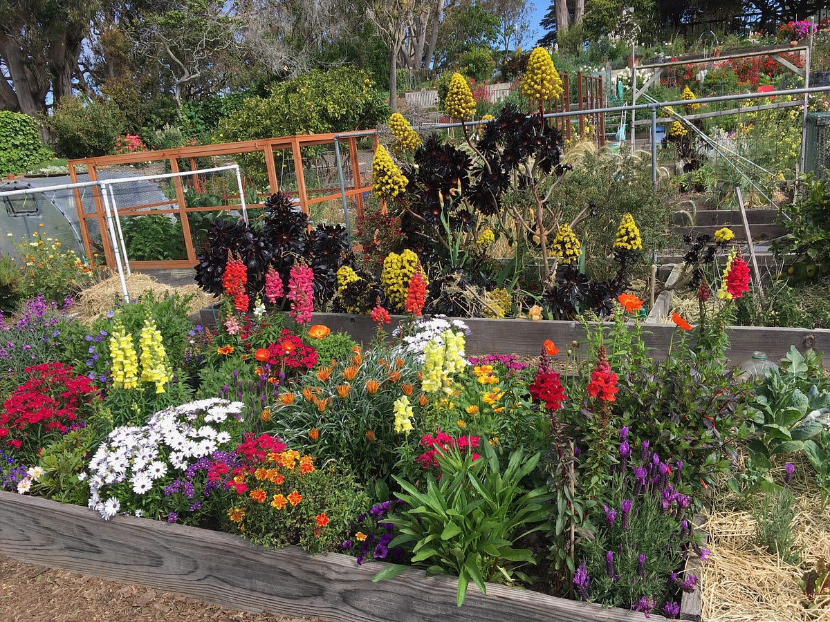 Image of: San Francisco’s Secret Garden of Solitude