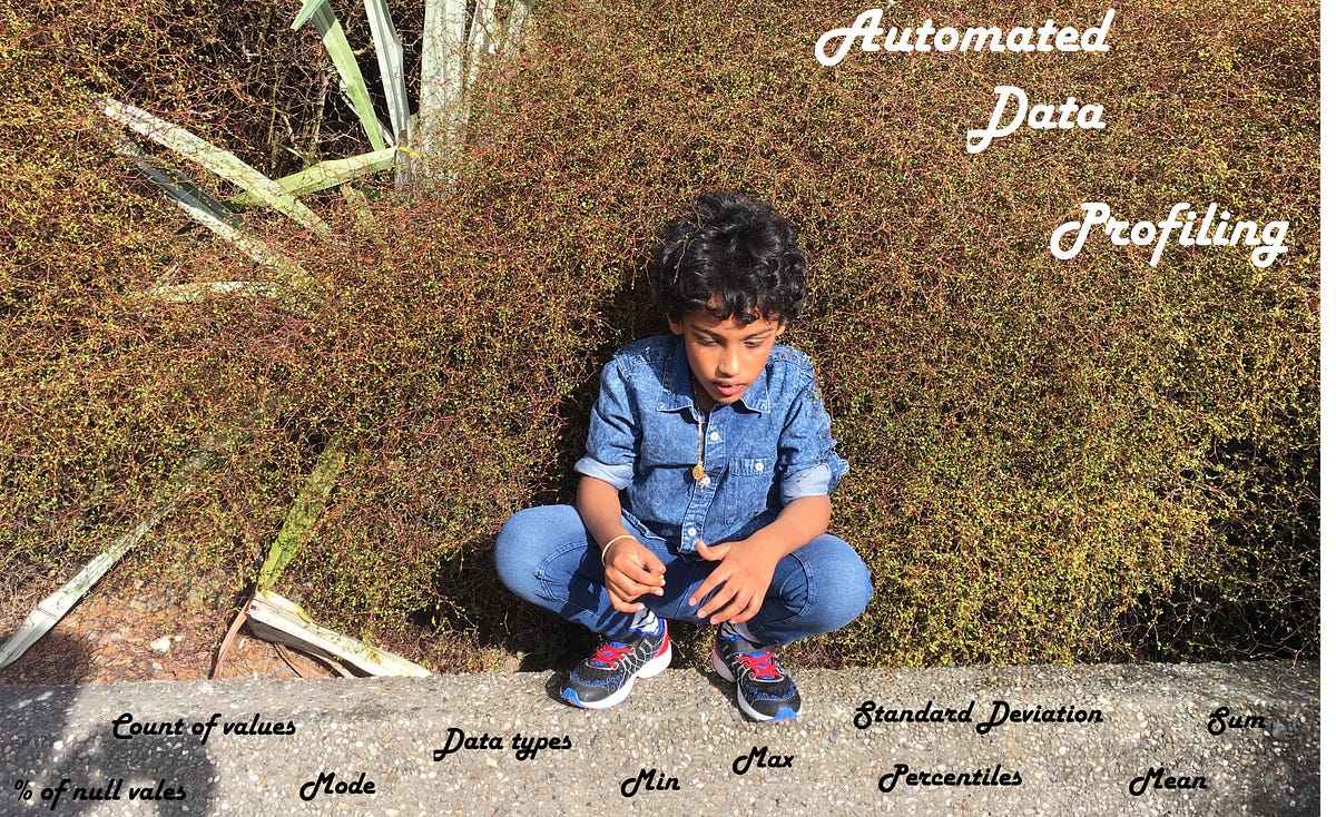 Automated Data Profiling Using Python | by Anandakumar Varatharajah ...
