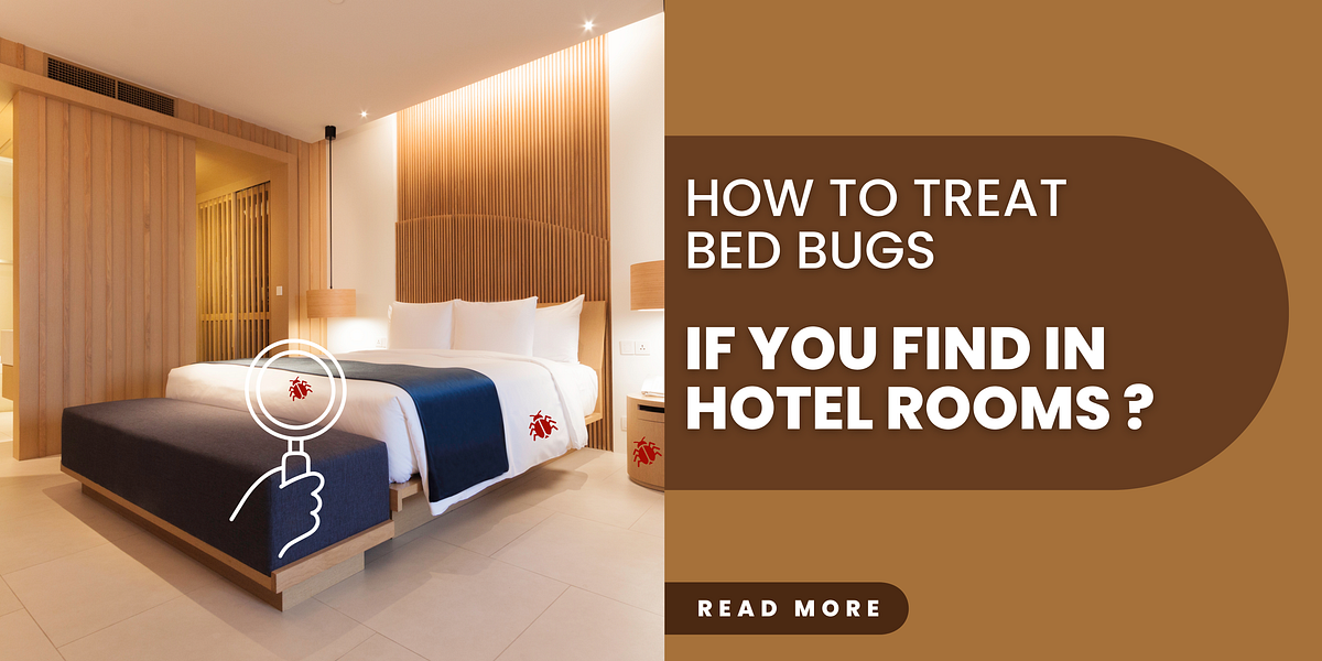 How to treat Bed Bugs if you Find in Hotel Room? by Bedbugstoreusa