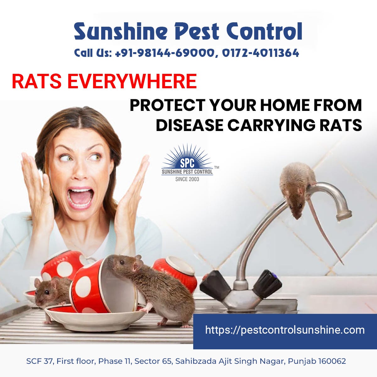Protect Your Home From Disease Carrying Rats Sunshine Pest Control(Mr