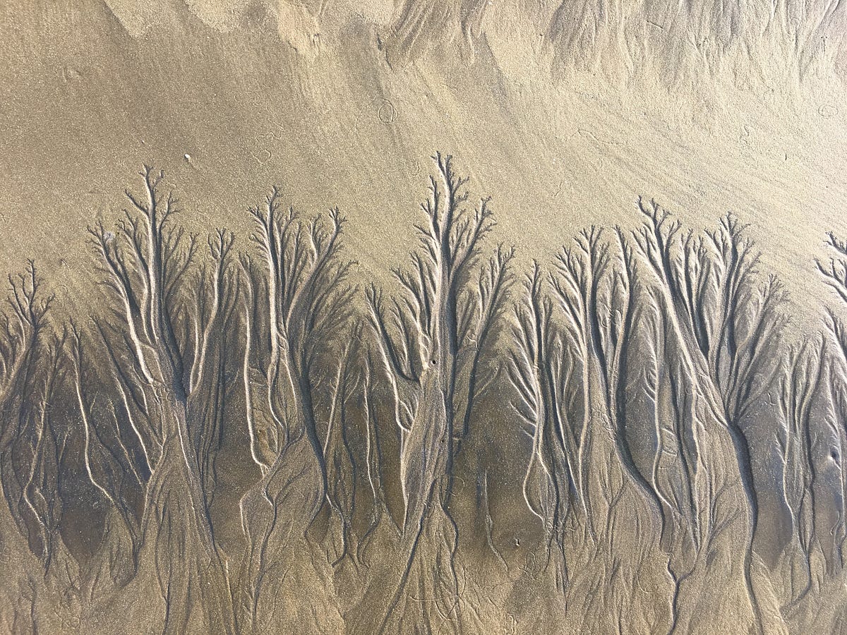 Dynamic Programming: Saving Time on Recursion | by Hannah Reitzel ...