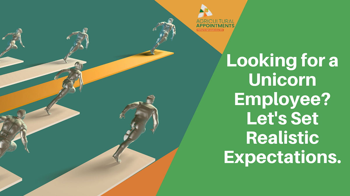 Looking for a Unicorn Employee? Let’s Set Realistic Expectations. | by ...
