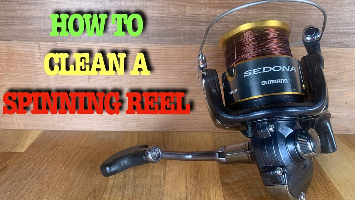 How To Clean Spinning Reel [Guide & Tips] by Free Fisher Medium