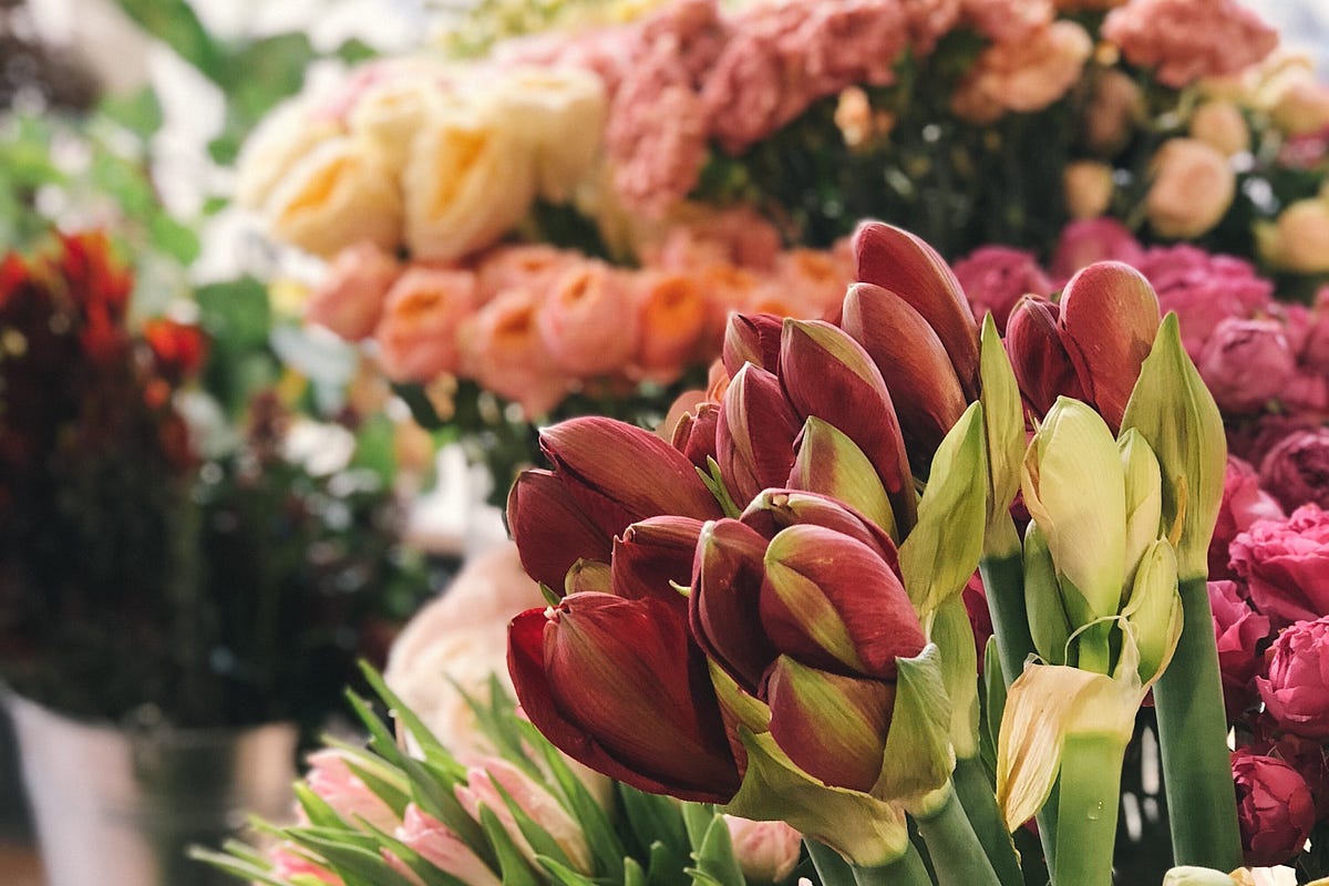 How to Order Sympathy Flowers. Five helpful tips from a… by Shelby