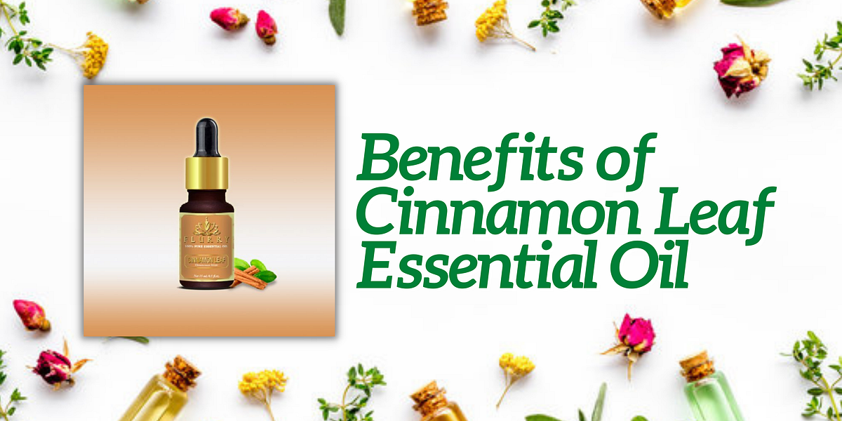 Benefits of Cinnamon Leaf Essential Oil Teamflurry Medium