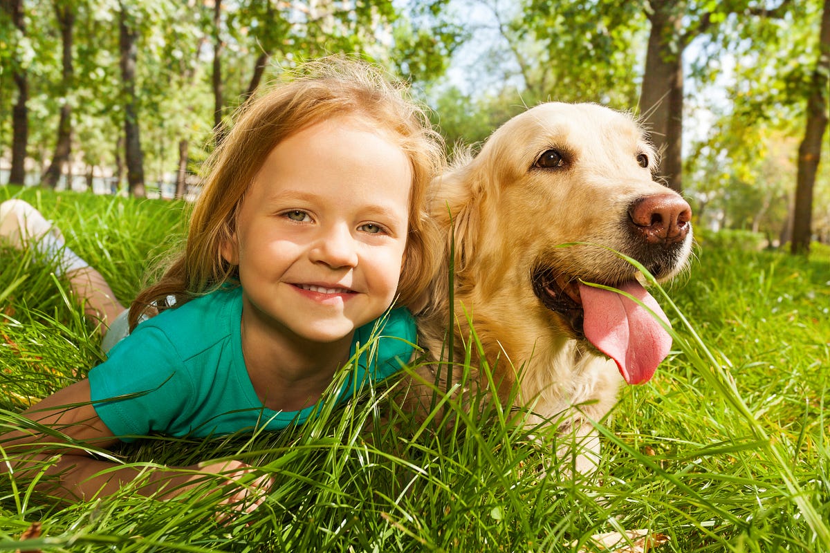 The 6 Most Kidfriendly Dog Breeds by Petricious Medium