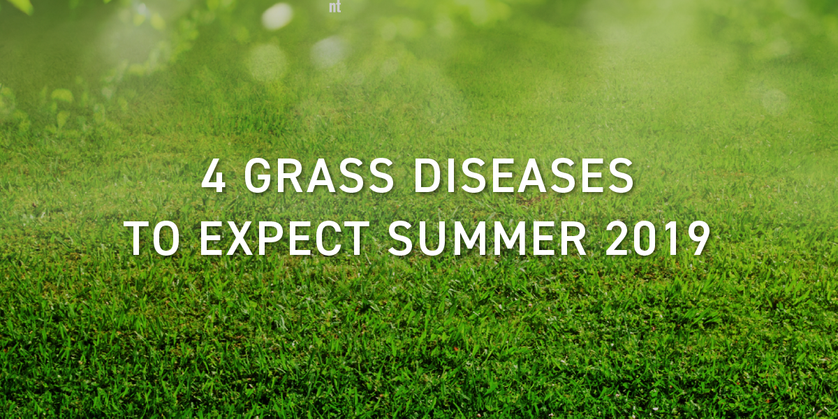 4 Grass Diseases to Expect 2019 — Schill Grounds Management by Schill