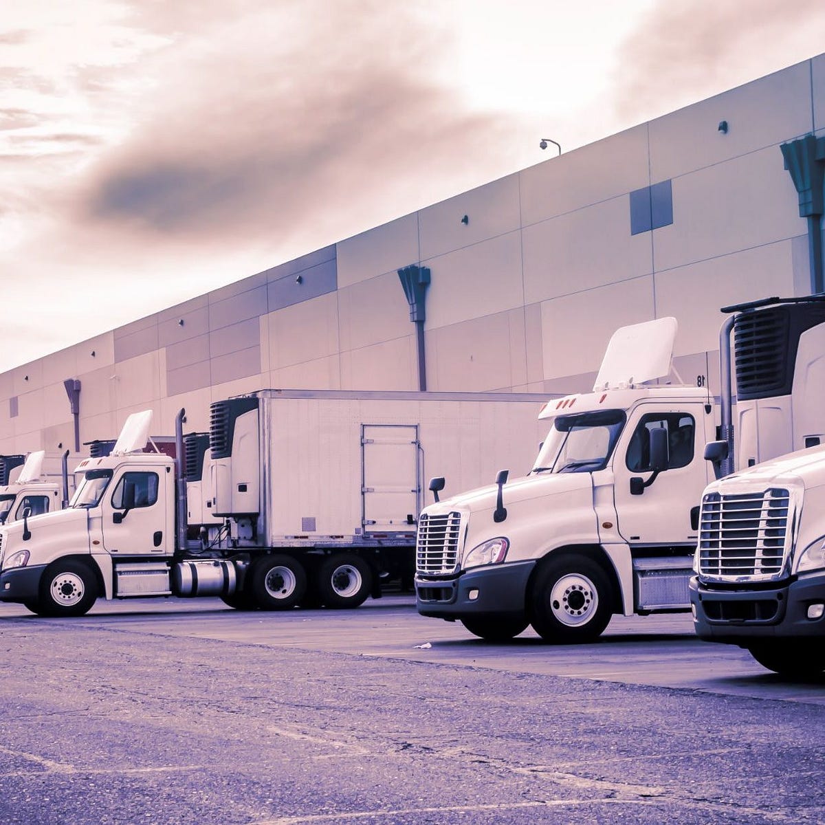 Store Supply Warehouse and What Makes Them So Great for The Business