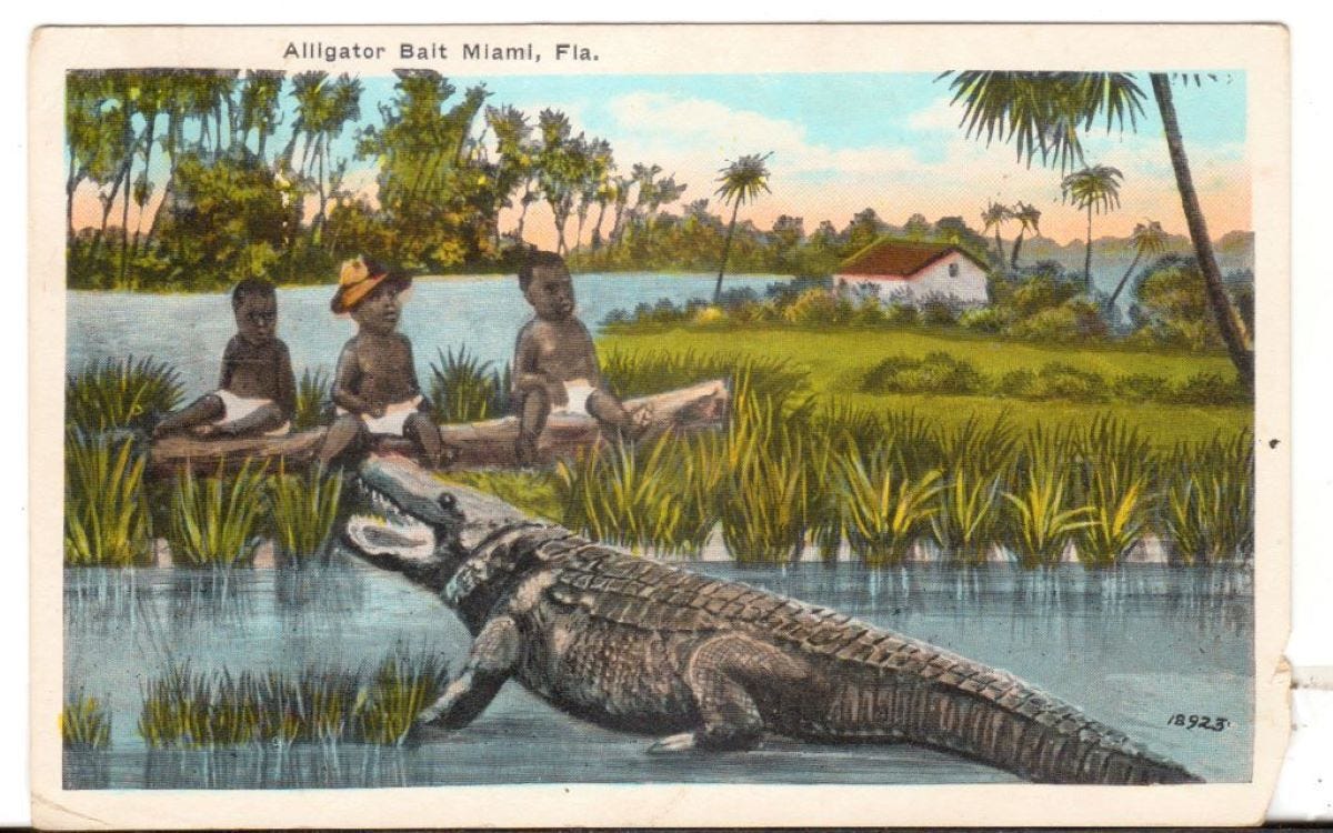 Black Babies Used as Alligator Bait in the U.S.