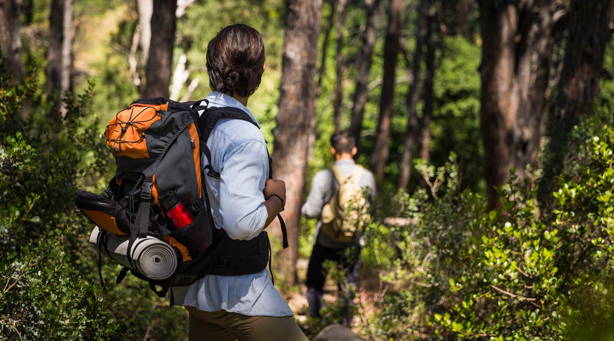 Looking at the Best Camping Swags on the Market by matthew mitchell