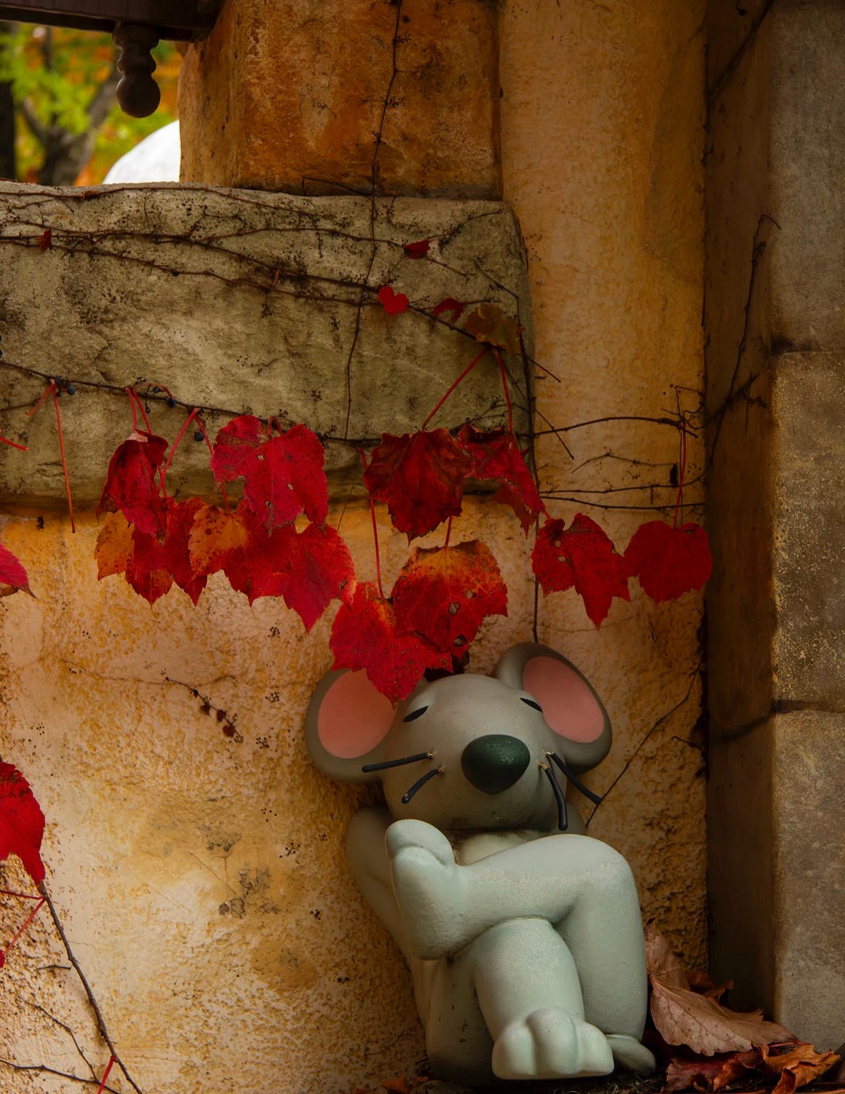 The ‘hood Dictionary “F” stands for Fables by KourtneyNicoleWrites