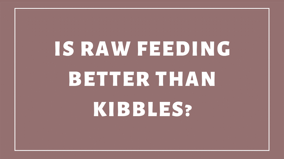 Is Raw Feeding Better Than Kibbles? by Pets Abs Medium