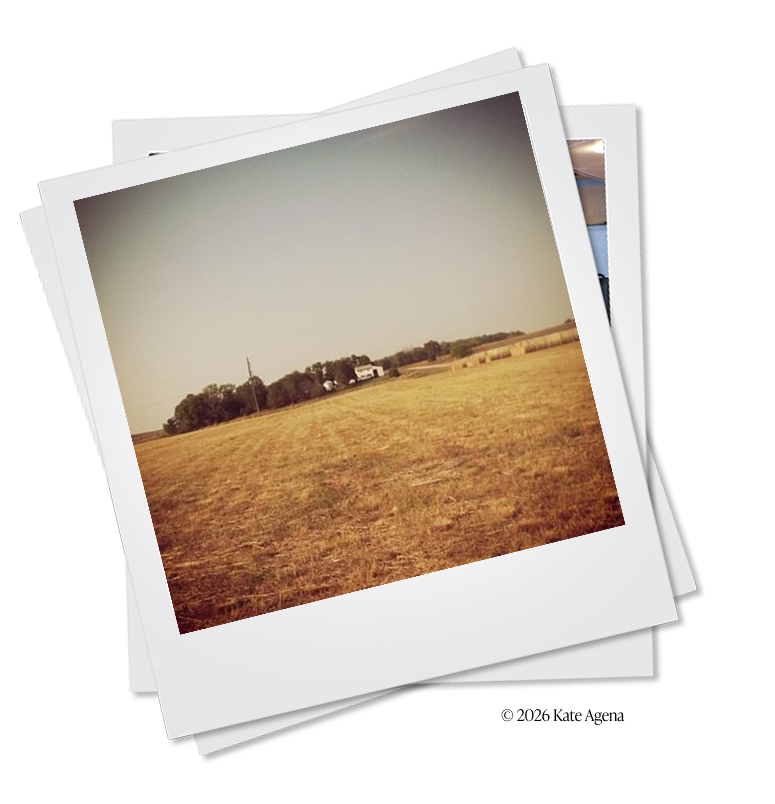A stack of slightly tilted Polaroid-style photos, with the top photo showing a wide, golden-brown field on the Iowa farm where the image owner grew up. In the distance are a farmhouse, trees, power poles, and open farmland under a pale sky.