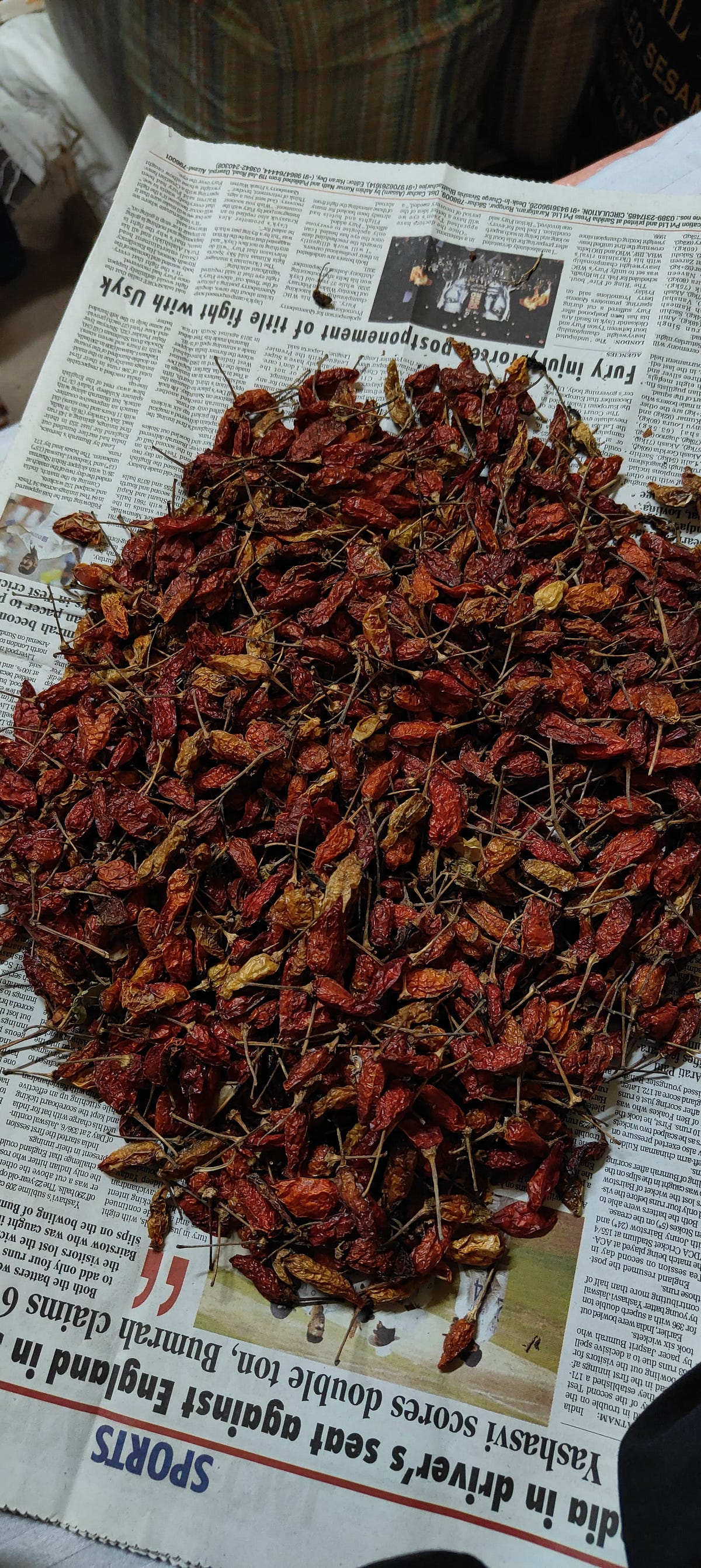 Longi Mirch price in India what is price of Bird Eye Chilli by Nik