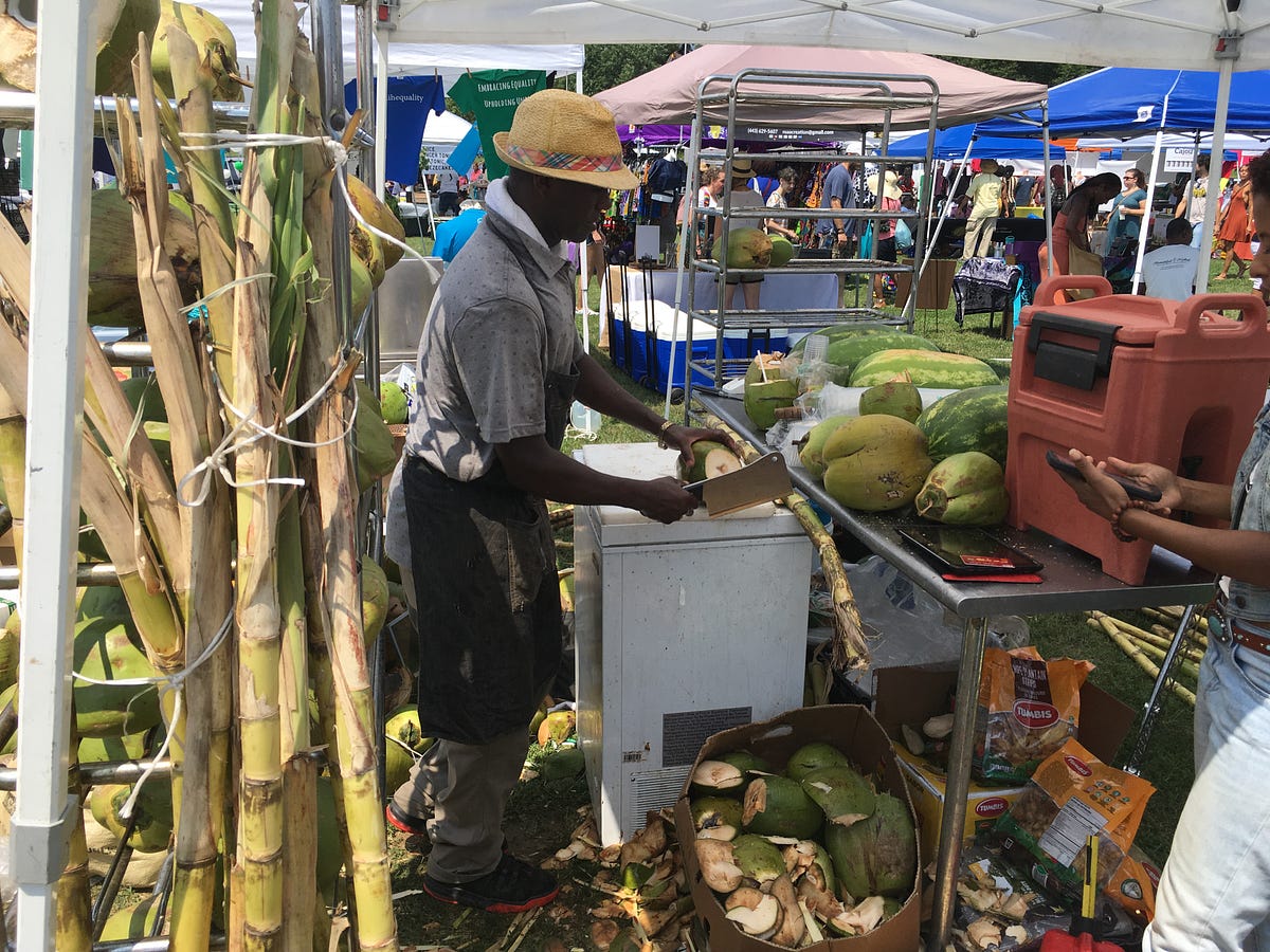 Celebration With a Purpose at Baltimore’s Vegan SoulFest by Jake