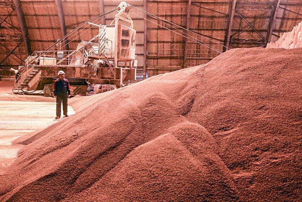 Potash Fertilizers; Ensures Proper Maturation in the Plant by Improving