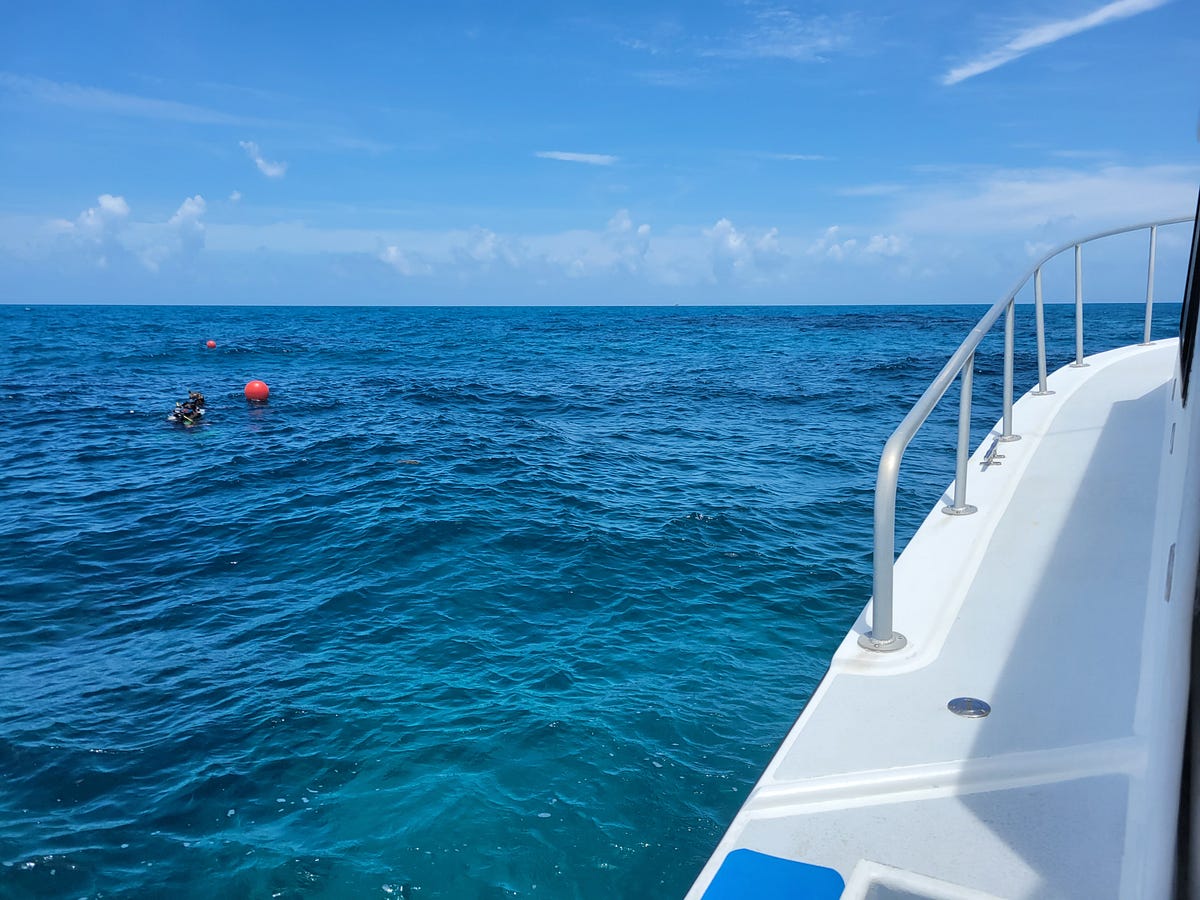 Top Spring Break Destinations In South Florida Your Ultimate Guide Top spring break destinations in south florida your ultimate guide