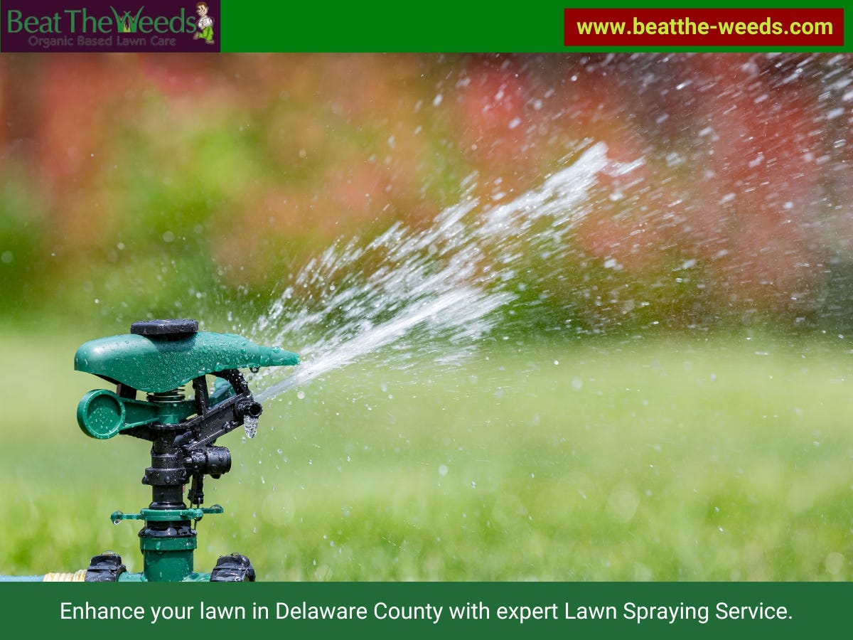 Fertilizer Companies Near Me — Chadds Ford, Pennsylvania | by Beat The ...