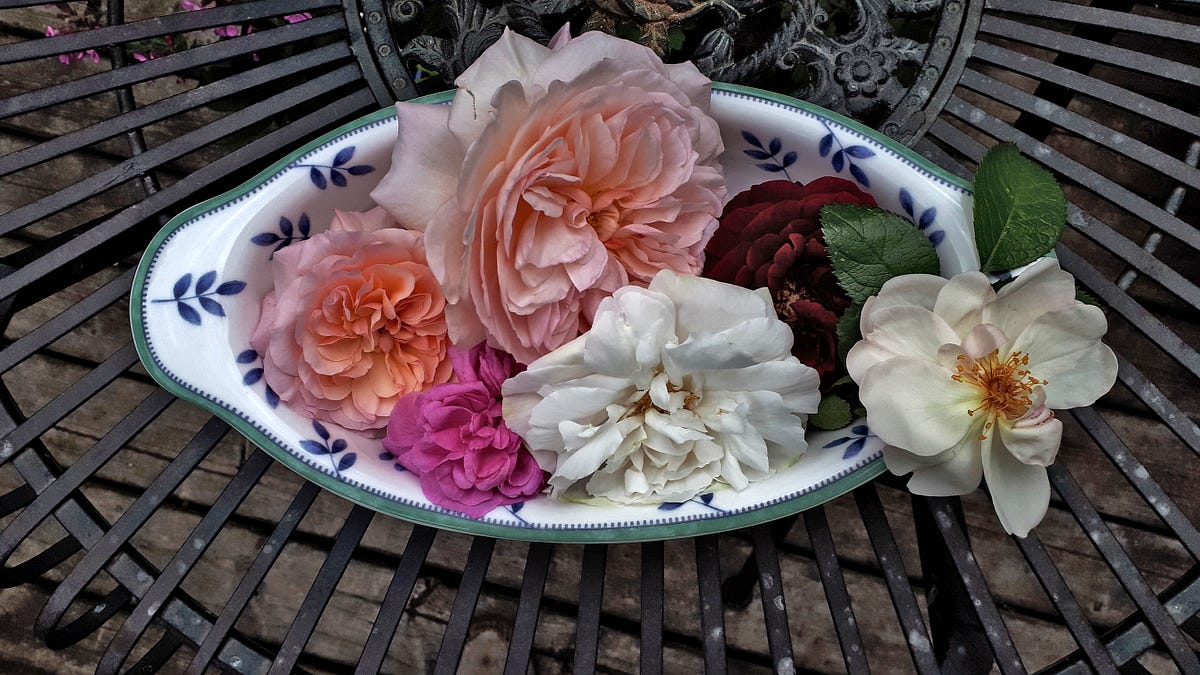 Naked & Nude Observed. 13 May 2020 | by alexwh | Photographs