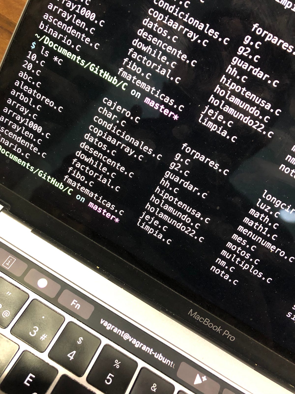 Learning Shell ls *. What is “ls *.c” When to use “ls *.c”? What does