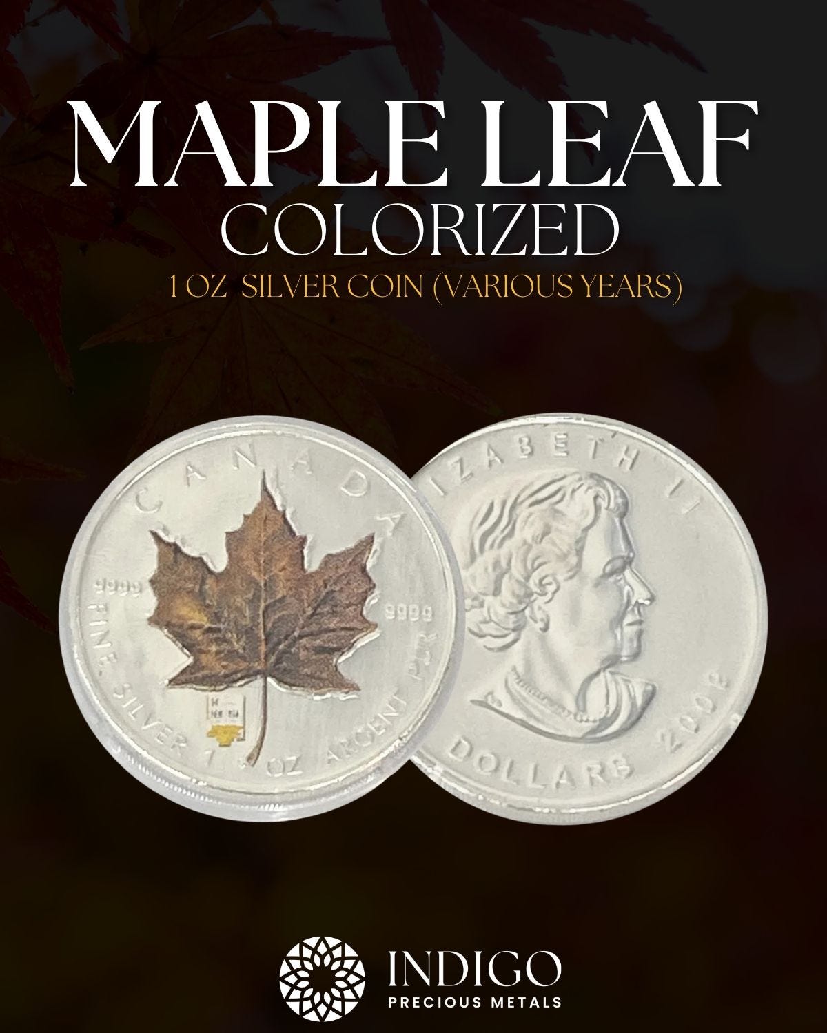 1 Oz Colorized Maple Leaf Silver Coin (Various Years)