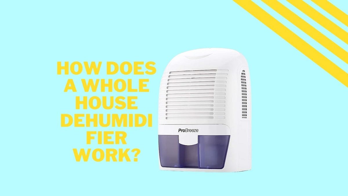 Can Dehumidifiers Make You Sick? Hidden Health Risks Sunnahagro Medium