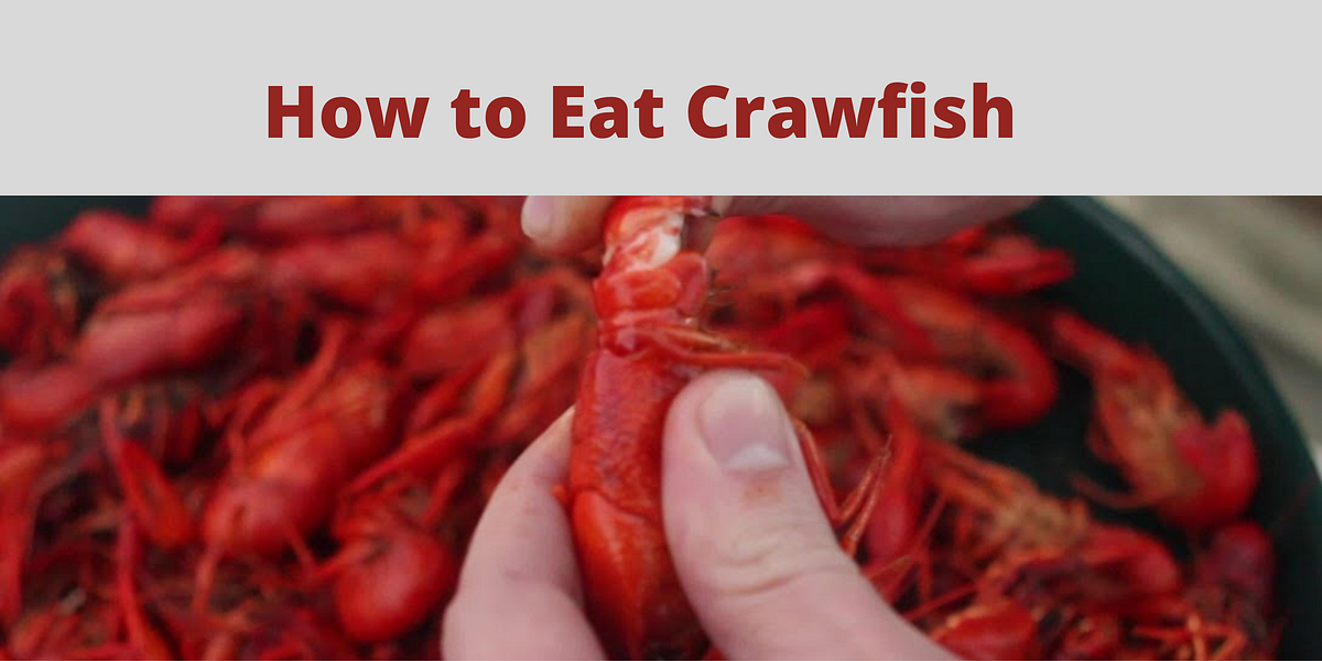 How to Eat Crawfish. After you’ve bought or cooked some… | by ...
