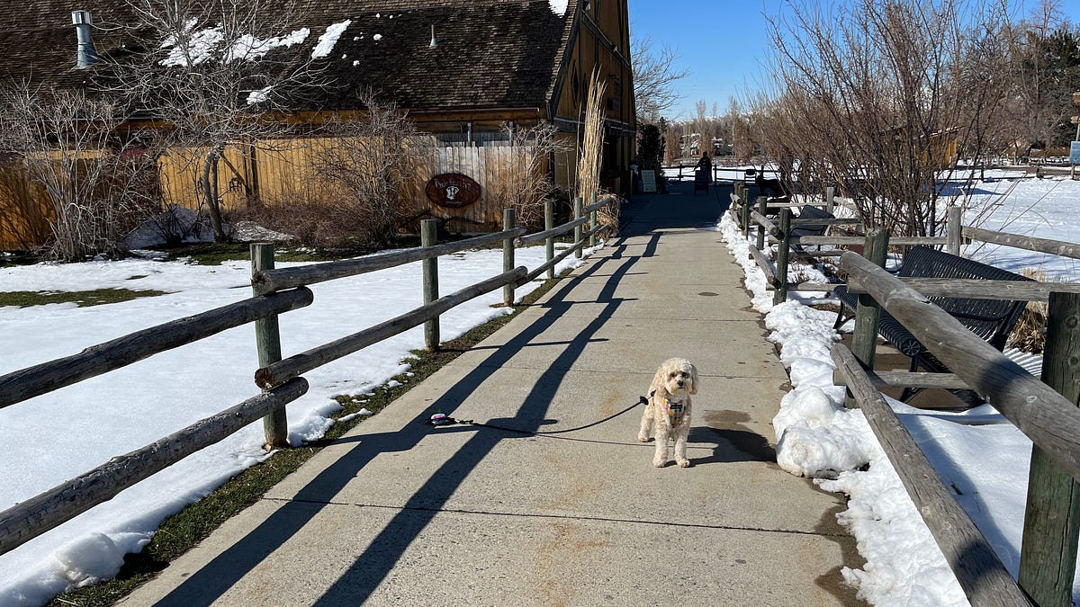 Easter Egg Dog Hunt at Wheeler Historic Farm in SLC by Honey Boo the