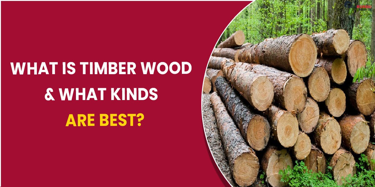 What is timber wood & what kinds are best? by Yuktanavimumbaihouses Medium