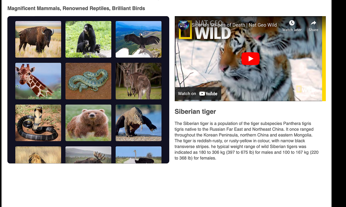Exploring the Wonders of the Animal Kingdom with JavaScript | by Rob ...