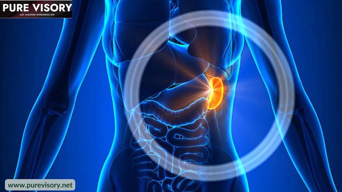 Can you live without a spleen Purevisory Net Medium