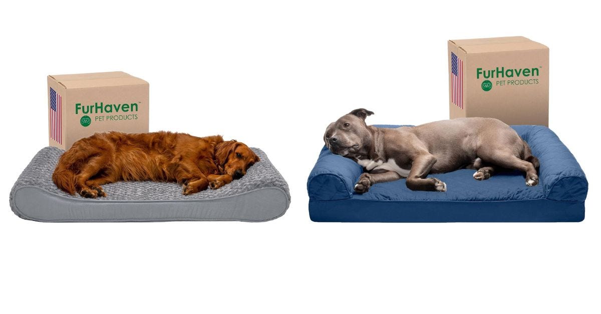 The 7 Best Casper Beds for Dogs in 2024 by Tanvir Hossen Dec, 2023