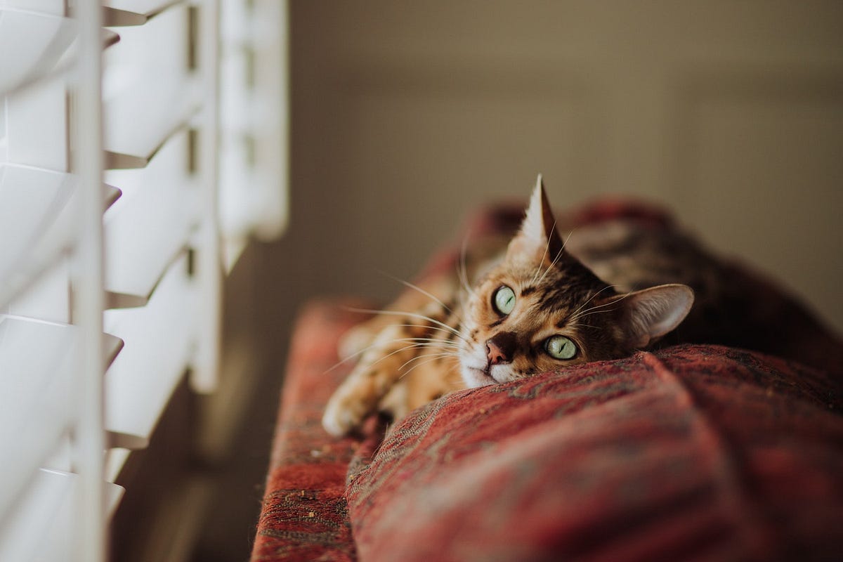 you-re-not-lazy-the-last-motivational-blog-post-you-ll-by-john