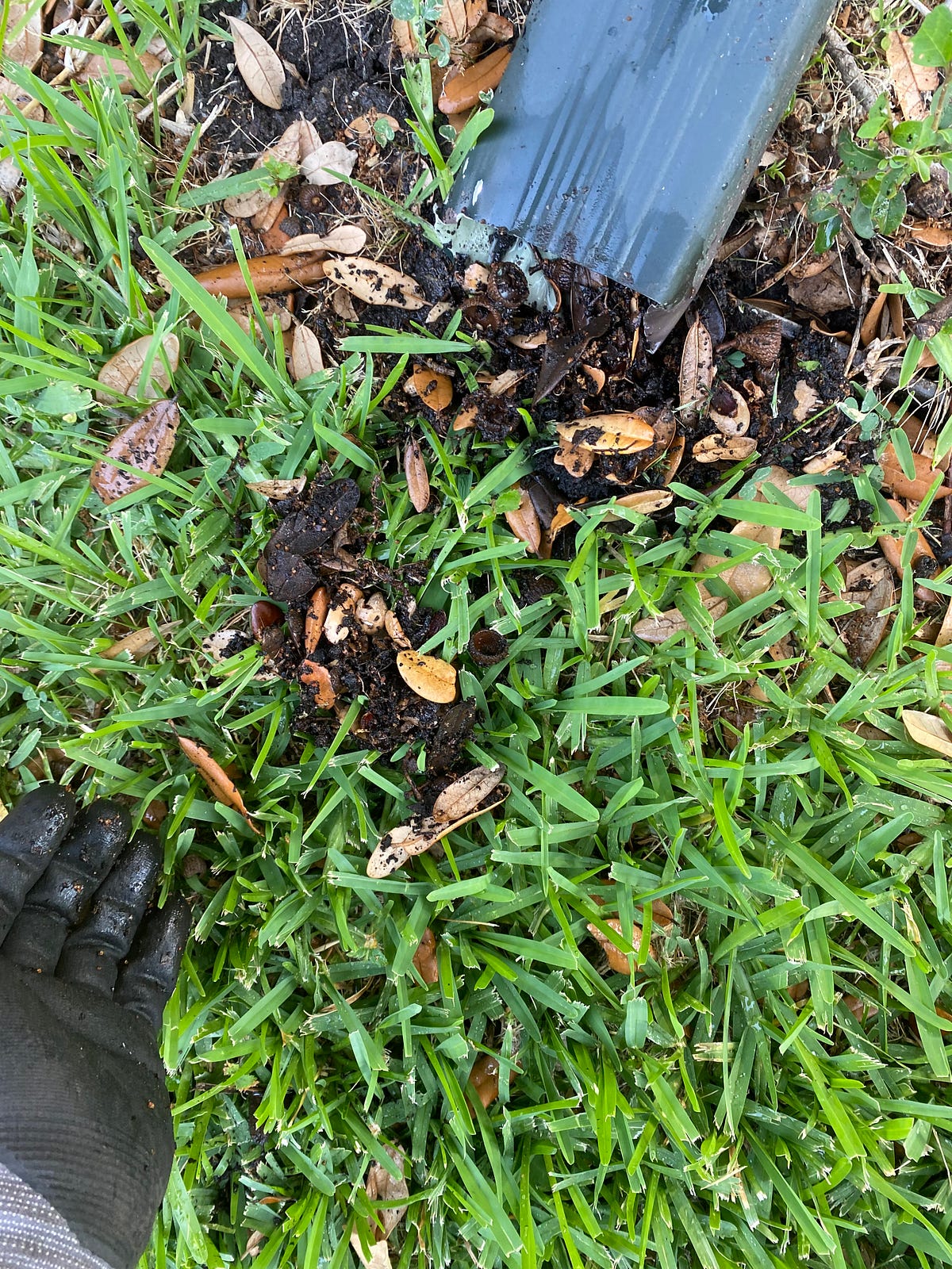 Atlanta’s Best Gutter Cleaning — Just How to Remove Rain Gutter Gunk