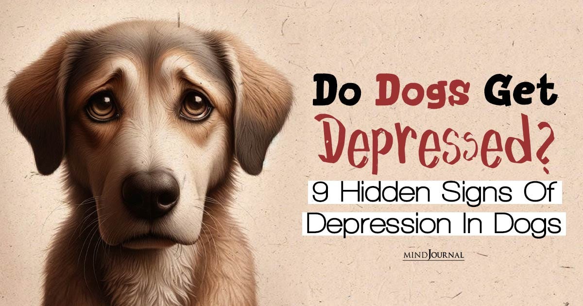 Do Dogs Get Depressed? 9 Hidden Signs Of Canine Depression You Must